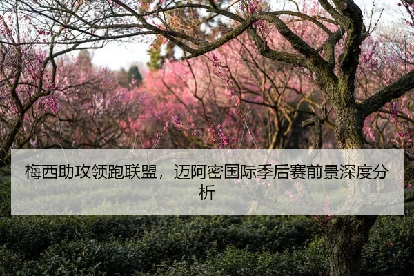 梅西助攻领跑联盟，迈阿密国际季后赛前景深度分析（hth）